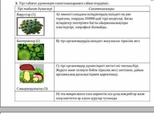 Тірі табигат дуниелерін сиппатарымен сайкестендириниз ​