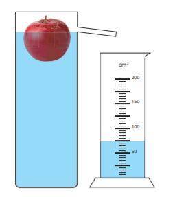 Марте и Карлису предстоит экспериментально определить плотность яблока. Взвесив яблоко, они обнаружи
