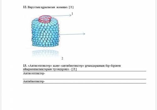 Биология тжб 7 клас 4 токсан надо