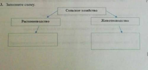 Заполните диаграмму. [4] Сельскохозяйственная промышленность Растениеводство Животноводство​