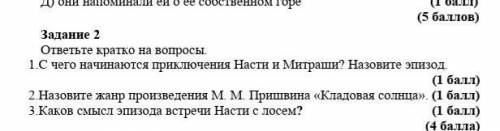 Помагите соч по русскому языку 5 класс 2 задания ​