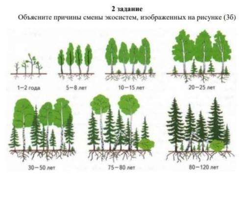 2 задание Объясните причины смены экосистем, изображенных на рисунке (36) 1-2 года 5-8 лет 10-15 лет