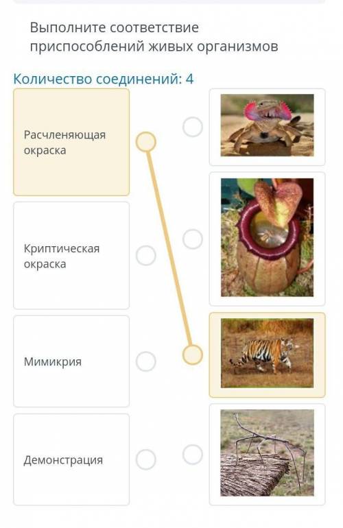 Выполните соответствие при живых организмов Расчленяющая окраска Криптическая окраска Мимикрия Демон