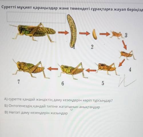 8800/lesson/d5580fc1-050b-49aa-b571-fd66eec0c27c ...Суретті мұқият қараңыздар және төмендегі сұрақта