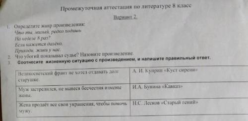 Промежуточная аттестация по литературе 8 класс за 3 задания. ​