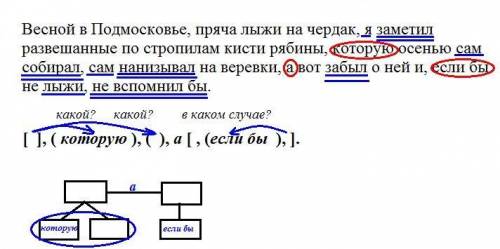 Весной в Подмосковье, пряча лыжи на чердак, я заметил развешанные по стропилам кисти рябины, которую