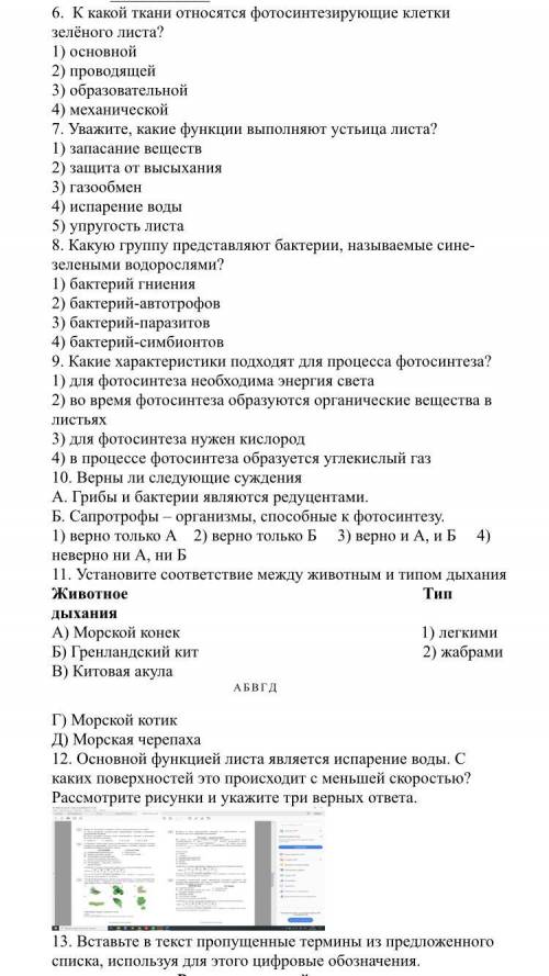 ответьте на задания с 6 по 18 в файле.