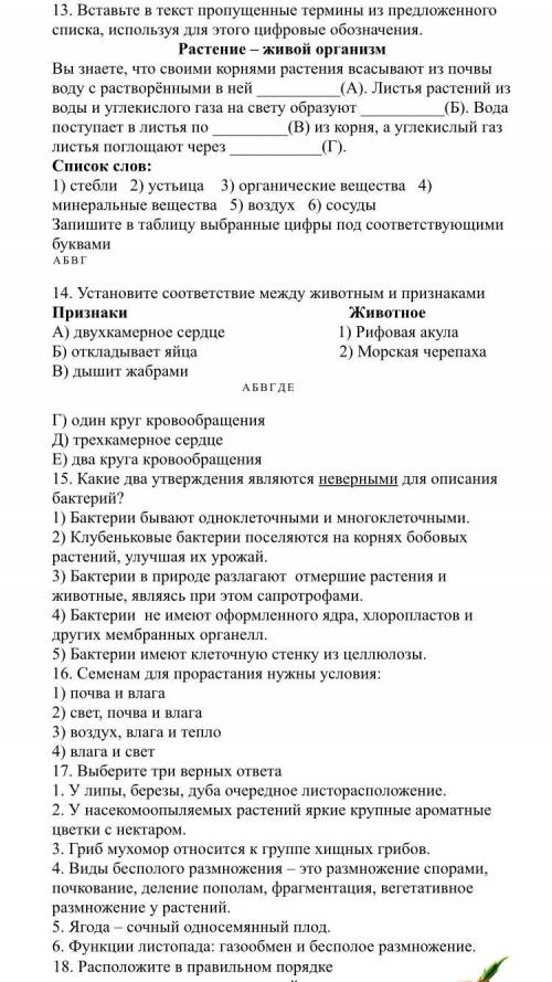 ответьте на задания с 6 по 18 в файле.