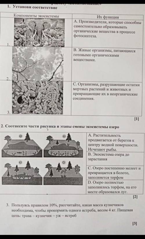 1. Установи соответствие Компоненты экосистемыИх функцииA.A. Производители, которые самостоятельно о