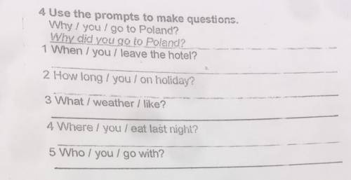 Use the prompts to make questions