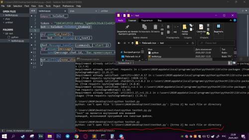 Путь файла указан верно, но выдает ошибкуpython: can't open file 'C:\Users\2020\Desktop\test\testbot
