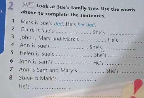 2)1.Mark is sue s dad He s her dad.2.Claire is sue s she s 3.John is Mary and Mark s. she s. 4.Ann i