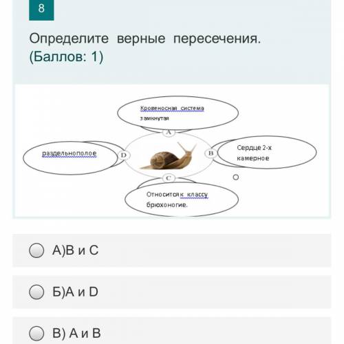 Определите верные пересечения.Один вариант. ( : 1) А)В и С Б)А и D В) A и B Д) C и D E) Вопрос (изоб