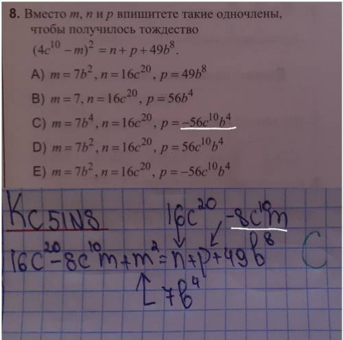 Люди,почему там -56c¹⁰b⁴?​