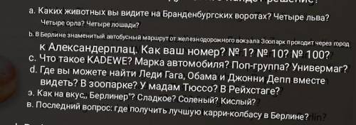 ответить кратко на вопросы(на какие можете)Фото прикрепила)​