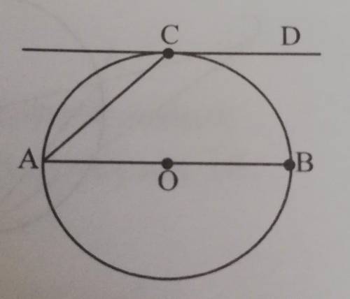 Касательная CD и диаметр AB параллельны. найдите угол ACD​