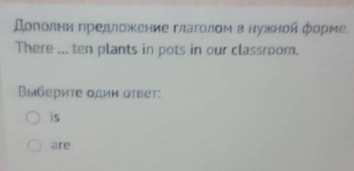 There ... ten planets in pots in our classroom. 1) is 2) are​