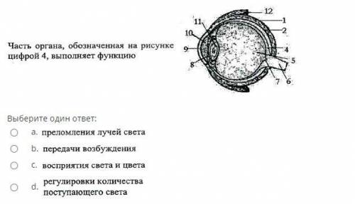 ответить на вопросы, указанные на скриншоте