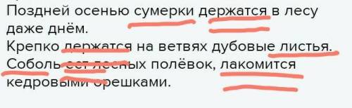 Списать. Подчеркнуть грамматические основы предложений. Поздней осенью сумерки держатся в лесу даже