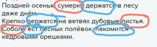 Списать. Подчеркнуть грамматические основы предложений. Поздней осенью сумерки держатся в лесу даже