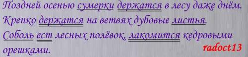 Списать. Подчеркнуть грамматические основы предложений. Поздней осенью сумерки держатся в лесу даже