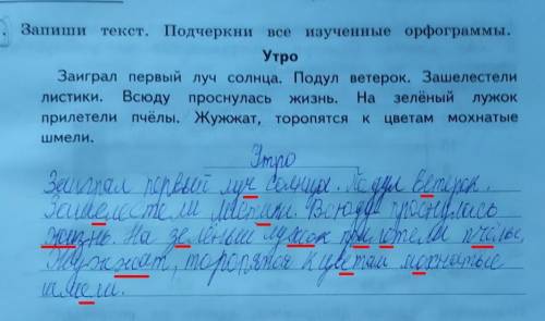 Запиши текст подчеркни все изученные орфограммы 3 класс​