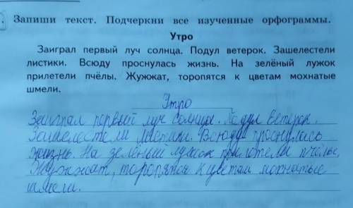 Запиши текст подчеркни все изученные орфограммы 3 класс​