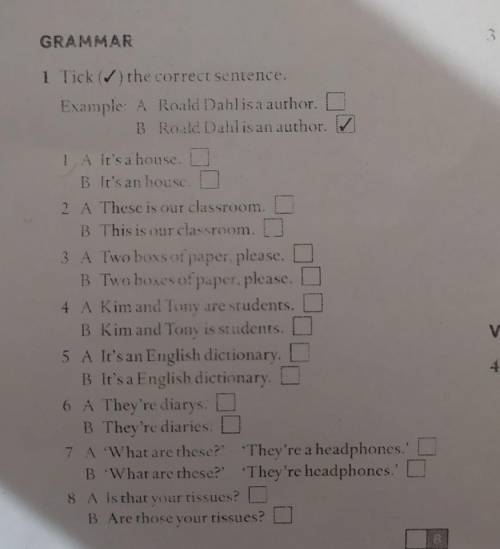 GRAMMAR 1 Tick the correct sentence. Example: A Real Dahlisa author. O B Roald Dahlisan author. 1 Al