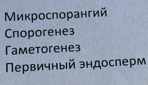 Дайте определение понятиямКратко