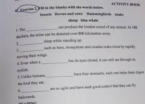 ACTIVITY BOOK Exercise 2. Fill in the blanks with the words below. Insects Horses and cows Hummingbi