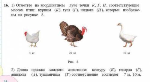 5 класс1,2 параграф5,16 задание