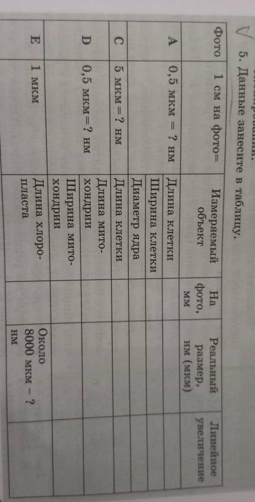 Фото 1 см на фото? Реальный размер, Нм (мкм) A 0,5 мкм - ? HM С 5мкм = ? нм Измеряемый На объект фот