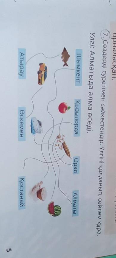 7. Сөздерді суретімен сәйкестендір. Үлгіні қолданыFi, сөйлем құра, Үлгі: Алматыда алма өседі,Шымкент