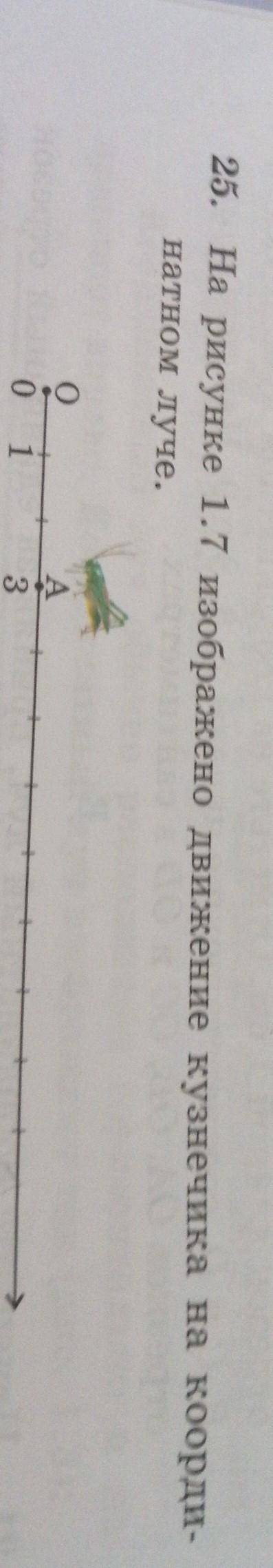 25. На рисунке 17 изображено движение кузнечика на коорди натной уче. скиньте фотку 3