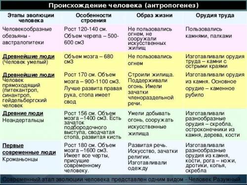 Заполните таблицу «Основные этапы эволюции человека»: Исторический возраст (когда жили) Особенности