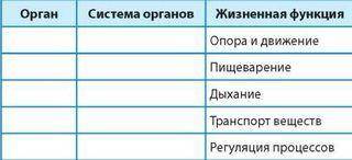 Жизненные функции организма человека таблица Заполнить таблицу