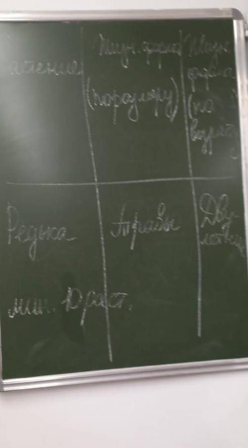 таблица по беологии 6 класс растения, жизненная форма р. по размеру по вдрад. редька травы, двухлетн