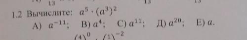 1.2 Вычислите: а ^5 (а^3)^2А) a^-11. В) а^4 c) а^4 Д)а^20; Е) а