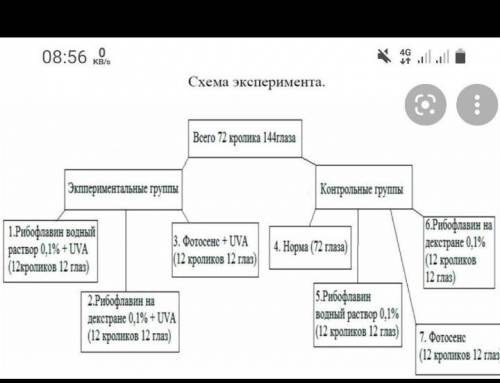 1) название экспериментальной работы; 2) цель эксперимента; 3) приборы и оборудование, применяемые в