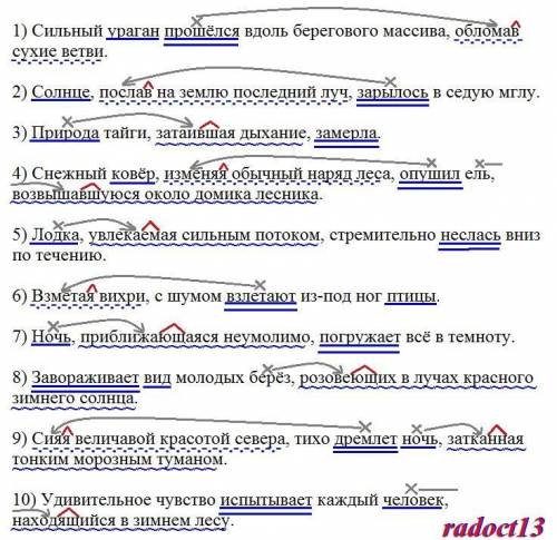 1. Подчеркните подлежащее и сказуемое (в каждом предложении). 2. Найдите причастия и деепричастия, о