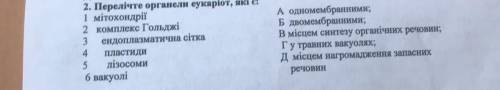 2. Перелічте органелн еукаріот, які є: 1 мітохондрії 2 комплекс Гольджі 3 ендоплазматична сітка 4 пл