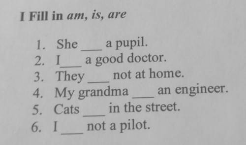 I Fill in am, is, are 1. She a pupil. 2. I a good doctor. 3. They not at home. 4. My grandma an engi