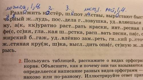 Распределите слова с пропущенными буквами по графам таблицы. Корни обозначьте.