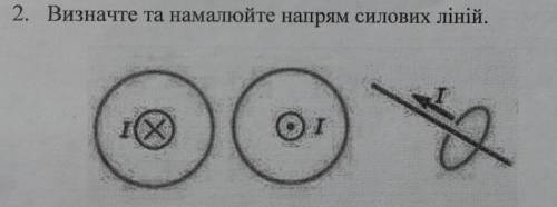 Визначте та намалюйте напрям силових ліній