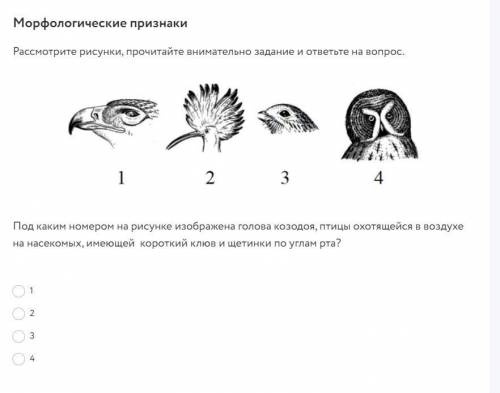 Биология, выбрать голову колозодия