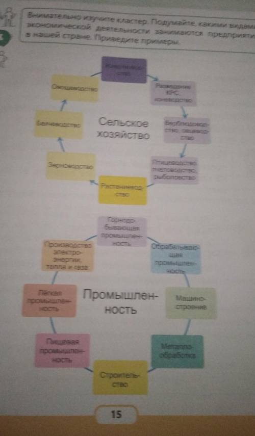 Р Внимательно изучите кластер. Подумайте, какими видами экономической деятельности занимаются предпр