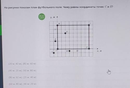 . На рисунке показан план футбольного поля. Чему равны координаты точек C и E?