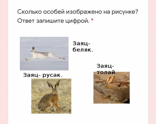 Сколько особей изображено на рисунке? ответ запишите цифрой сдать через пол часа ⏰