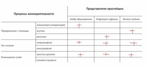 Заполните таблицу, отметьте знаком + процессы, характерные для амёбы обыкновенной, инфузории-туфел