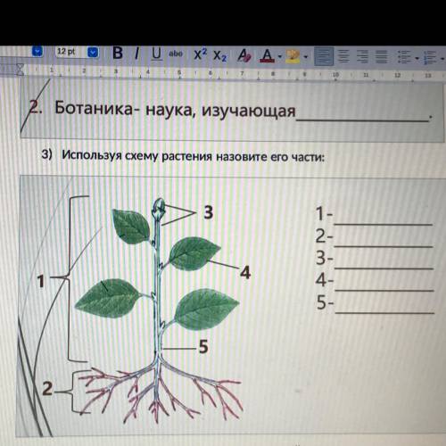 Надо написать используя схему растения на фото